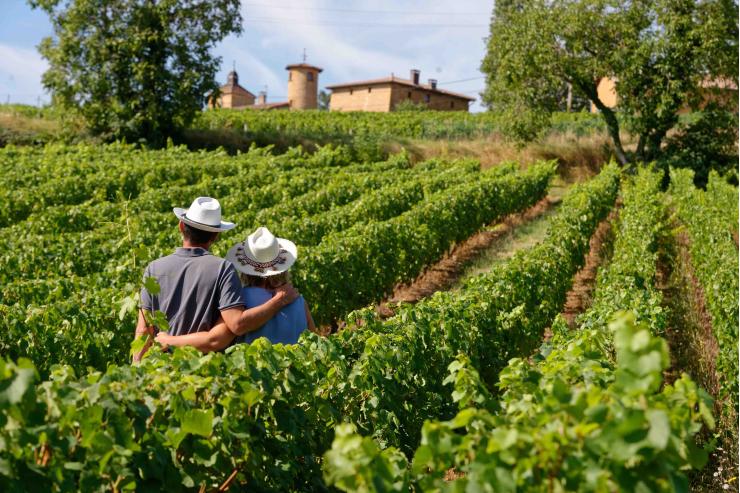 Vignobles en Scène : le festival pour les amoureux du vin et des terroirs