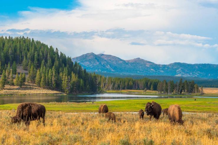 Road trip dans l'Ouest sauvage des Etats-Unis, du Wyoming à la Californie