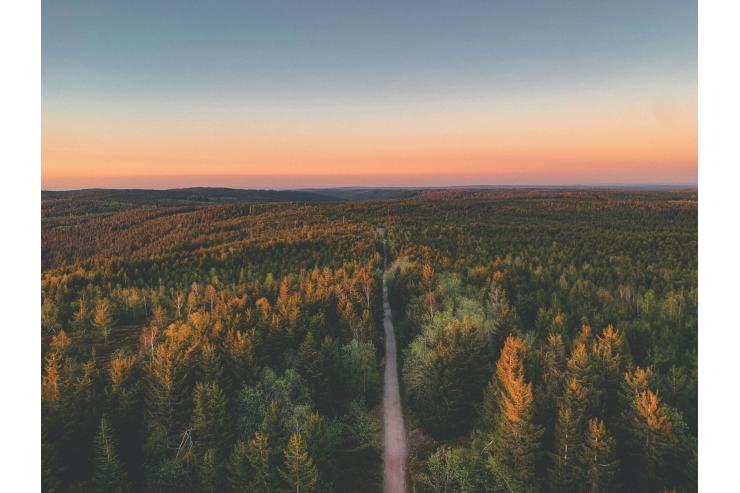 La newsletter hebdo hôtels et voyages - 145