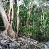 Vue depuis la cabine de douche (derrière une moustiquaire) dans une Mayan Villa © Yonder.fr