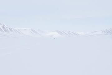 Les motoneiges filant à pleine vitesse vers l’aéroport, tâches à peine visible dans l’immensité de Hurry Inlet..