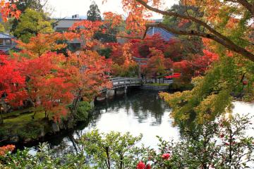 Kyoto en automne | © Aurélie Morin