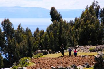 Travail de la terre sur les hautes collines d’Amantani. | © Cédric Aubert