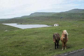 Le long de la route vers Skarvanes sur Sandoy.