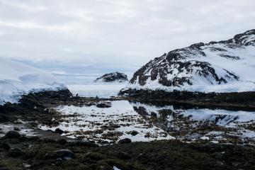 Cette portion d’eau libre dans le fjord de Tsaarpagaajik permet aux habitants de pêcher les moules. 