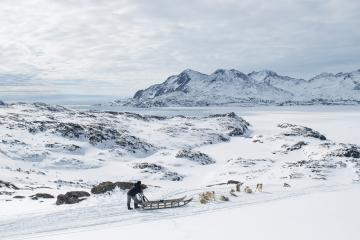 Pause photo pendant le trajet du retour. Les maisons de Tasiilaq sont visibles à l’arrière plan !