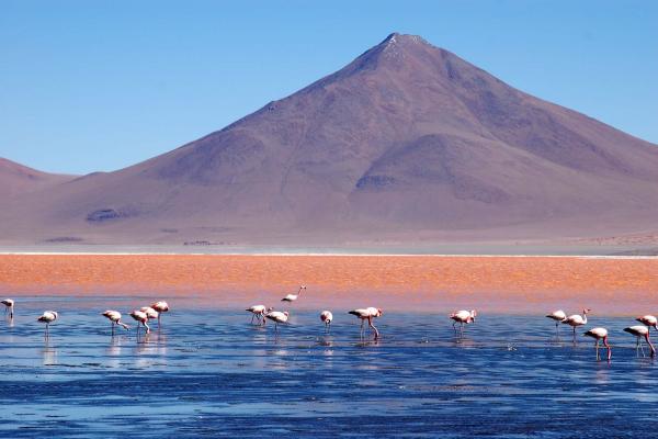 Laguna Colorada © David Brickman