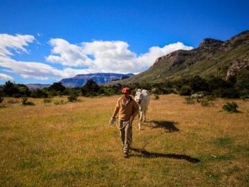 Luis, l’un des gauchos-chasseurs-de-vaches-sauvages, et son cheval. | © Cédric Aubert