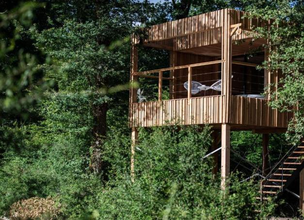 Cabane perchée, domaine boisé, relais de charme ou retraite champêtre : voici cinq hôtels dans la forêt en France pour s’offrir un séjour revigorant entre les arbres.