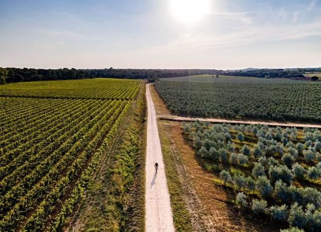Au printemps, nous avons enfourché des vélos électriques Moustache pour suivre un itinéraire de 120 km autour d’Uzès. Depuis la gare d’Avignon, le parcours traverse les paysages du Gard, aux portes de l’Ardèche et des Cévennes. Une échappée en mode slow travel, imaginée par Chemins.