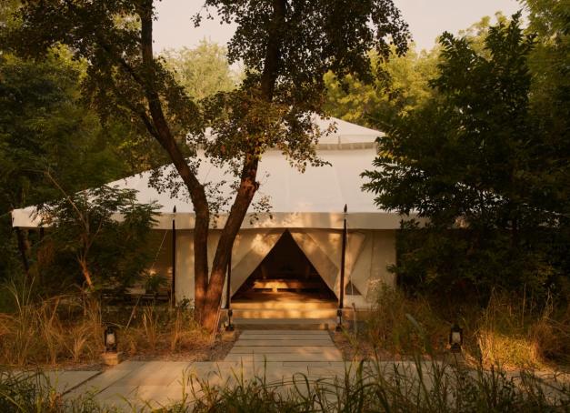 Au bord de la zone 5 de la réserve de Ranthambore, l’Aman-i-Khás incarne la quintessence du safari de luxe en Inde. Sous ses tentes somptueuses mêlant design épuré et esprit nomade, chaque détail respire la sérénité. Le service, d’une perfection rare, accompagne des journées entre jungle, tigres et silence sacré. Un refuge d’initiés où la nature s’apprivoise avec grâce et élégance. En un mot : l’Inde sauvage, version Aman.
