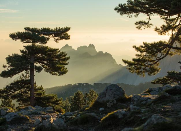 La Corse, île de beauté aux mille visages a bien plus à offrir que ses célèbres plages. Entre mer et montagne, au cœur du maquis, certaines adresses réinventent le luxe en pleine nature. Intimes, authentiques, ancrés dans leur territoire… voici nos cinq hôtels coup de cœur pour un week-end nature en Corse au charme déconcertant.