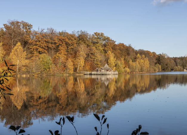 Entre les Vosges et le Jura, à deux pas de l'Alsace et de la frontière suisse, la cité du Lion fort reste étrangement discrète pour une ville avec autant de caractère. Autour, la nature est proche : lacs, forêts et sommets vosgiens sont à portée de route. Voici notre sélection des plus beaux hôtels et chambres d'hôtes à Belfort.