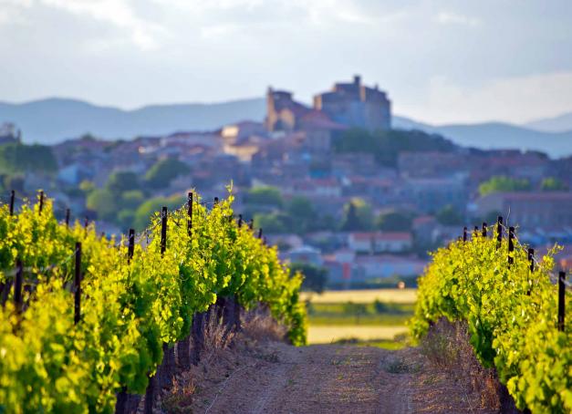 Et si vous partiez en week-end prolongé en Occitanie ? Suivez notre itinéraire pour un road trip dans les vignobles du Pays d’Oc. Pendant trois jours, découverte des meilleurs domaines, restaurants et sites historiques du territoire.