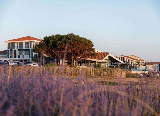 Face à l’Atlantique, à quelques minutes de La Rochelle, La Grande Terrasse s’inscrit dans un paysage en mouvement. Tandis que les marées rythment les journées, le séjour s’organise naturellement entre bonnes tables, protocoles de bien-être et plages de détente face à l’horizon. Une adresse pensée pour ralentir sans jamais s’ennuyer.
