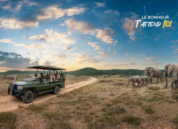 Longtemps promesse de grandeur, le safari reste l’un des imaginaires les plus puissants du tourisme africain. Il est surtout, pour de nombreux voyageurs, synonyme d’une quête emblématique, celle d'apercevoir les fameux Big Five : lion, éléphant, rhinocéros, léopard et buffle. En Afrique du Sud, une nouvelle vision du safari, plus attentive et respectueuse de l’environnement, est possible. 