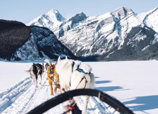 En hiver, les paysages canadiens offrent une toile de fond spectaculaire pour les activités en plein air et la découverte de la nature. En route pour l’aventure !