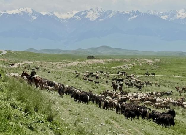 Un itinéraire au Kirghizistan de 7 à 10 jours spectaculaire, incluant des séjours en immersion, afin de visiter le pays de l’intérieur et découvrir les plus beaux paysages de cette destination exceptionnelle d’Asie Centrale.