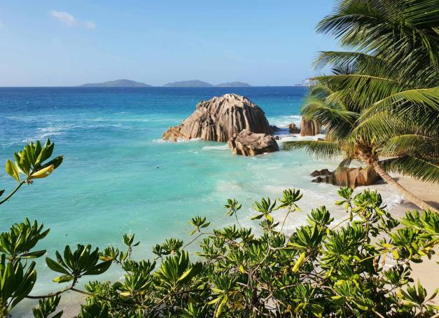 Les Seychelles, joyaux de l'océan Indien, émergent tel un archipel paradisiaque où se mêlent plages de sable blanc, végétation luxuriante et biodiversité marine exceptionnelle. Plus de la moitié des 115 îles coralliennes et granitiques sont des réserves naturelles ! Embarquement pour une croisière aux Seychelles avec Catlante à la découverte de Mahé, Pralin, la Digue, Coco… autant de noms qui évoquent des promesses d’aventures et de découvertes inoubliables. 