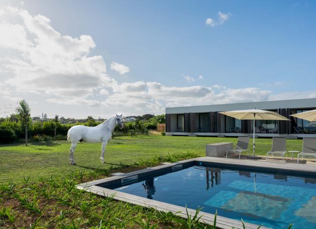 Galoper sur une plage, découvrir un territoire à hauteur de selle ou chuchoter à l’oreille des chevaux : voici cinq hôtels sublimes où l’équitation fait partie intégrante du séjour, et où l’on met volontiers le pied à l’étrier. 