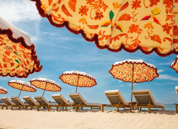 Du Ciro's, la table de plage du Majestic, au bistronomique branché, en passant par l'étoilé incontournable : tour d'horizon des restaurants de Cannes où le coup de fourchette est mémorable.