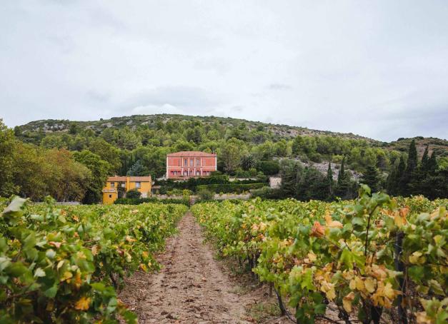 Le Languedoc-Roussillon, la région viticole la plus méridionale de France, se découvre lors d'une échappée œnotouristique depuis la ville catalane de Perpignan aux contreforts sauvages des Corbières, en passant par les plaines du littoral.