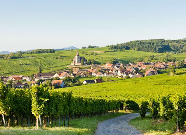 Envie de profiter d’une pause romantique à deux ? Pourquoi ne pas vous échapper du côté du Grand Est, pour un week-end en amoureux en Alsace, de Kaysersberg à Colmar, de Ribeauvillé à Ebersmunster. Entre villages fleuris, winstubs traditionnelles et collines couvertes de vignes, la région dévoile un charme authentique à chaque détour.