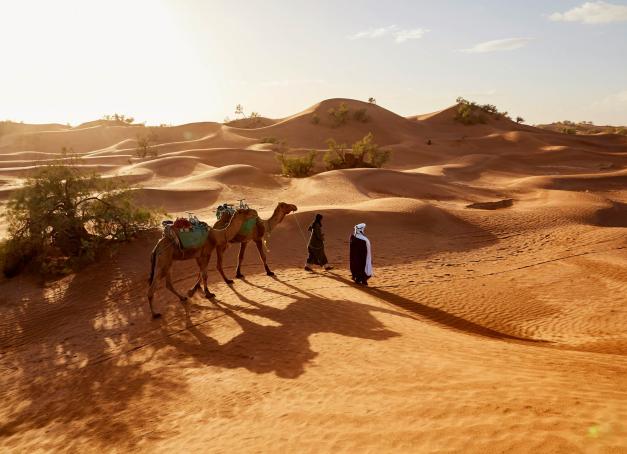 Déserts de sable, îles aux rythmes chaloupés ou volcans endormis sous la chaleur des tropiques : voici cinq destinations où partir au soleil en hiver. 