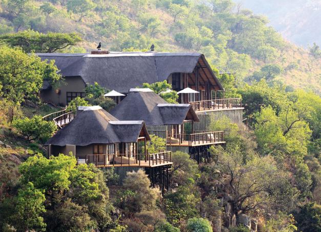 Plus durable, plus humain et toujours aussi fascinant : le safari se réinvente ! Nos cinq idées pour vivre un safari écoresponsable en Afrique, entre lodges engagés, conservation de la biodiversité, communautés locales et expériences hors des sentiers battus.