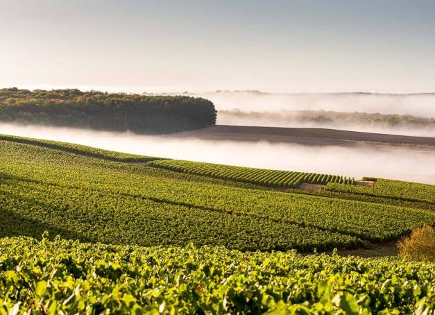Direction l’Aube pour un week-end en Champagne ! Des forêts emplies d’histoire et des lacs tout en légendes, des vignes pétillantes et un art consommé du bien-vivre, avec Troyes en son centre. Dépaysement assuré, façon slow tourisme, à seulement deux heures de Paris.