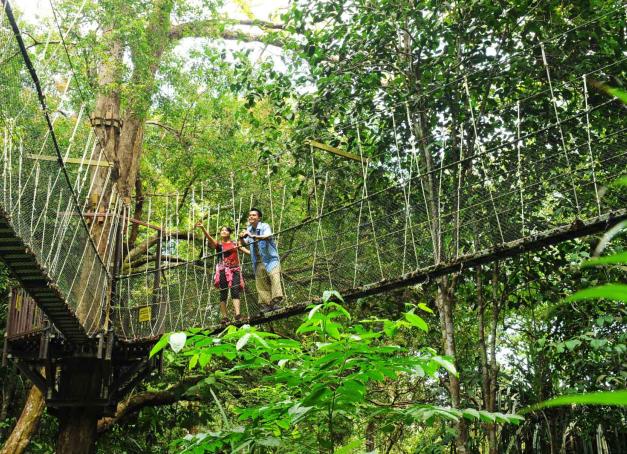 Pays de contrastes et de traditions — mégapoles dynamiques et jungle luxuriante, îles paradisiaques et sites historiques classés à l’Unesco — notre circuit de deux semaines pour découvrir le meilleur de la Malaisie.