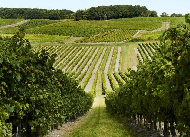 Elle n'a pas (encore) le flux touristique de Reims, mais Cognac a plus d'un atout dans sa manche. Idéalement positionnée à moins d'une heure de Bordeaux, la ville se prête aussi bien au détour qu'à la destination à part entière. Et depuis que la maison Rémy Martin, qui a fêté ses 300 ans en 2024, a structuré une offre œnotouristique sérieuse, il y a de vraies raisons de s'y attarder.