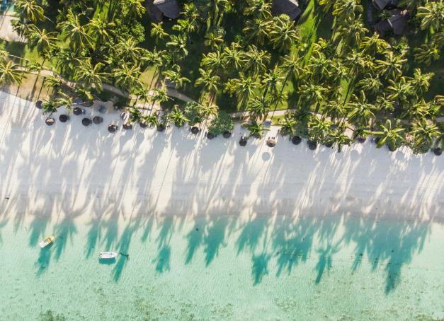 Besoin d’évasion et de soleil ? C’est possible même en janvier. Du Maroc au Mexique en passant par Dubaï, voici notre liste pour une escapade hivernale après les fêtes placée sous le signe du soleil, du sable fin et la promesse d’un dépaysement total. 