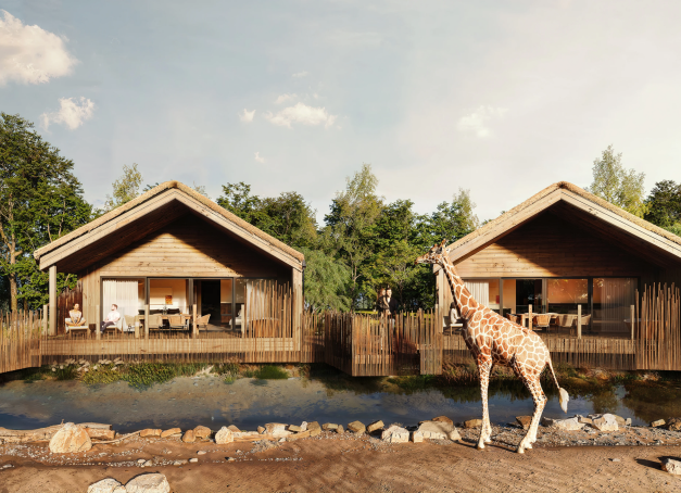 Dormir face aux jaguars, faire une sieste près des lamantins ou prendre son petit-déjeuner sous le regard des girafes : certains des plus beaux zoos d’Europe proposent désormais de passer la nuit au plus près des animaux. Lodges, chambres avec vue sur les enclos ou hébergements insolites : voici cinq parcs animaliers où dormir en Europe, avec une longueur d’avance pour la Belgique.