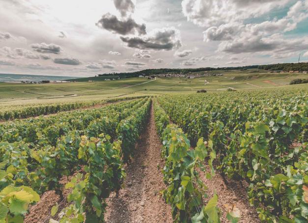 Visiter la Champagne, c’est explorer ses caves, ses villages idylliques, ses châteaux fastueux et ses monuments historiques, au cœur de paysages de vignobles sublimes. Un week-end dans la région réserve de belles émotions. Voici les 12 expériences à ne rater sous aucun prétexte.
