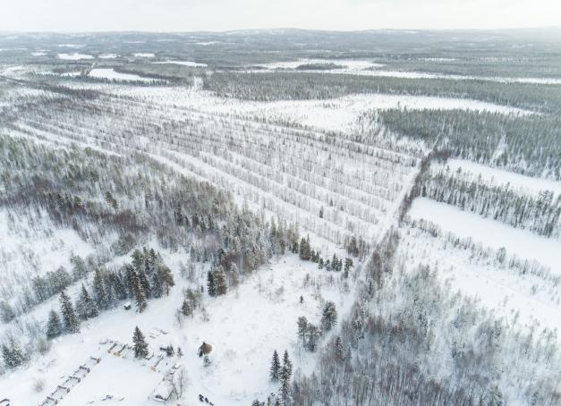 Paysages d'hiver en Laponie finlandaise.