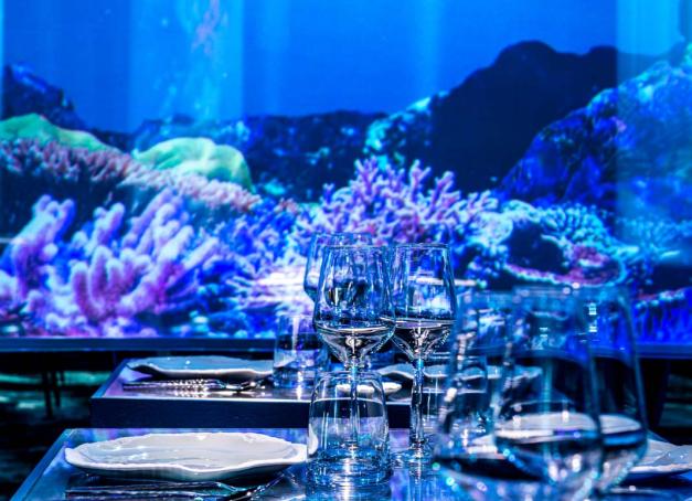 Au cœur du concept immersif Under The Sea, le restaurant dévoilera au mois de septembre prochain une nouveauté pour la rentrée 2023 : un bar à huîtres.