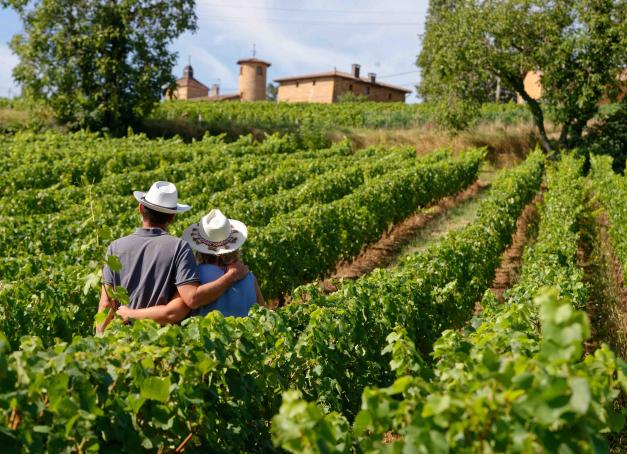 Et si l'automne était finalement la plus belle saison pour découvrir les vignobles français ? Une fois les raisins rentrés, les paysages se parent de leurs couleurs d'automne, les domaines retrouvent un rythme plus apaisé et les visiteurs peuvent prendre le temps de rencontrer celles et ceux qui font vivre les terroirs. 
