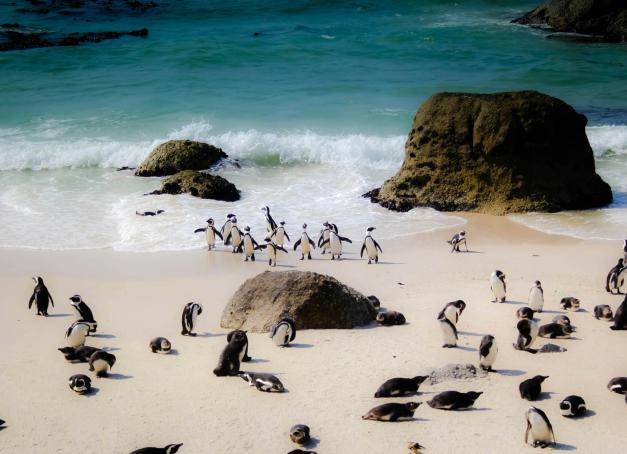 Comme chaque vendredi, YONDER vous emmène pour son voyage en 3 étapes entre destination, hôtellerie et gastronomie. 

