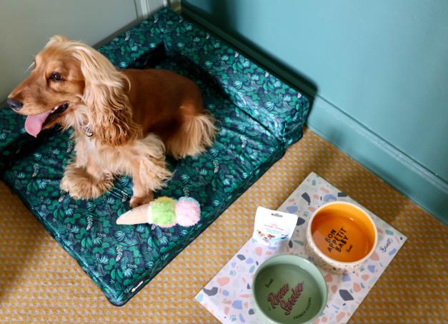 Club Med ouvre ses portes aux chiens dans deux nouveaux resorts, en Italie et au Québec, après Vittel Ermitage: kits d’accueil dédiés et cadre nature pour voyager sans se séparer de son compagnon.